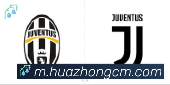 乐鱼官网平台合作伙伴