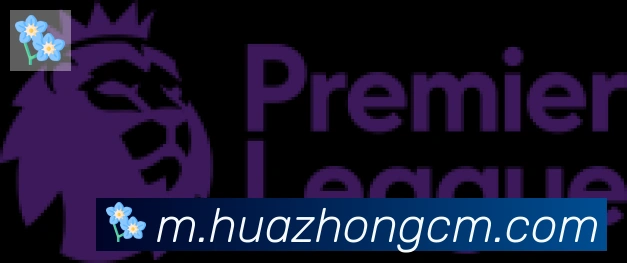 乐鱼官网平台合作伙伴